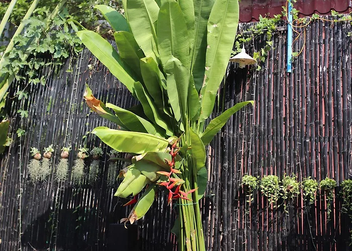 Angkor Pal Boutique